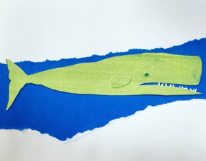 Baleine, 2019