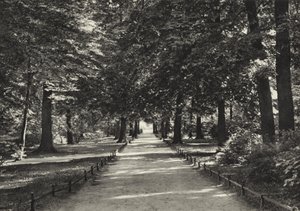 Berlin : Tiergarten