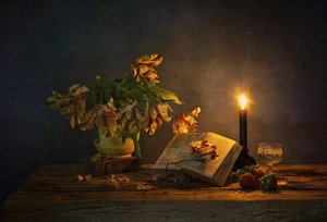  - Saskia Dingemans