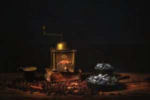  - Saskia Dingemans