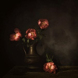  - Saskia Dingemans