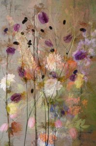  - Saskia Dingemans