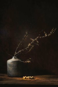  - Saskia Dingemans
