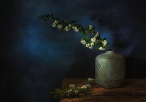  - Saskia Dingemans