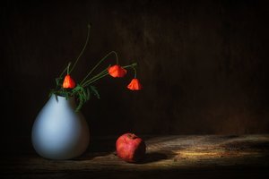  - Saskia Dingemans