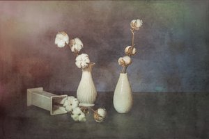  - Saskia Dingemans
