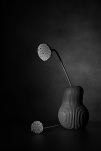  - Saskia Dingemans