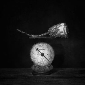  - Saskia Dingemans