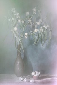  - Saskia Dingemans