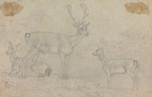 Un cerf et deux biches - Sawrey Gilpin
