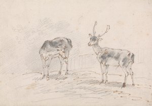 Biche et cerf - Sawrey Gilpin