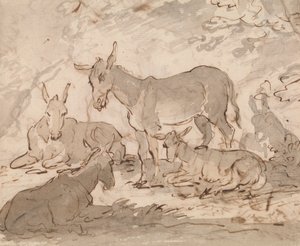 Ânes