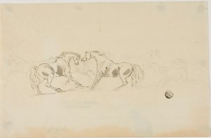Chevaux se battant