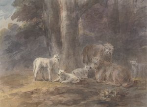 Moutons sous un arbre - Sawrey Gilpin