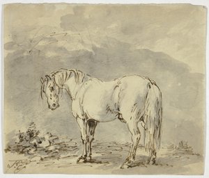 Cheval debout avec la tête tournée