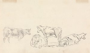 Étude de bétail