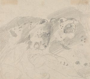 Deux léopards