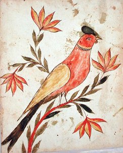 Oiseau tourné vers la droite