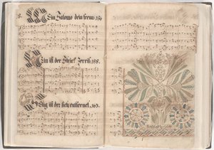 Pages d