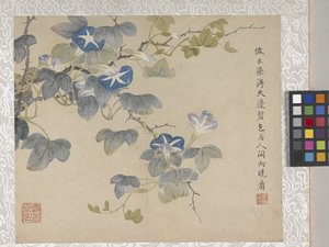Album de 8 feuilles de fleurs, milieu des années 1700