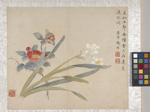 Album de 8 feuilles de fleurs, milieu des années 1700
