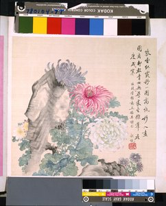 Album de fleurs et d