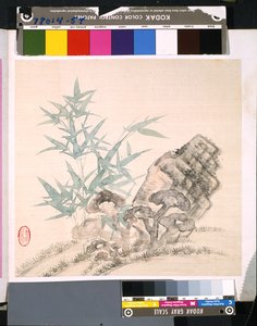 Album de fleurs et d