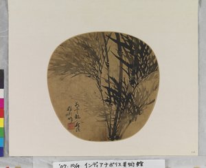 Bambou - School Chinese