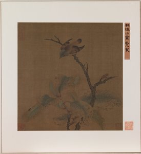 Oiseau sur une branche (encre et couleur sur soie) - School Chinese