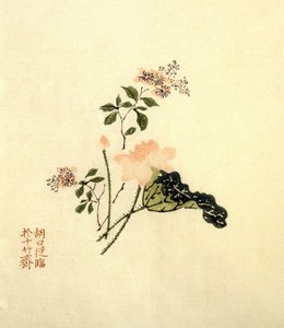Fleur de lotus - encre sur papier, Chine