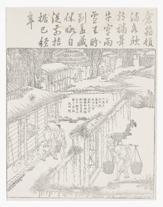 Stockage du riz - School Chinese