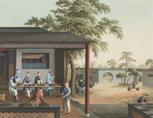 Production de thé, vers 1820