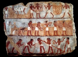 Semis et récolte de la tombe du scribe Unsou (fresque)