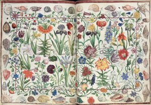 Pages de l