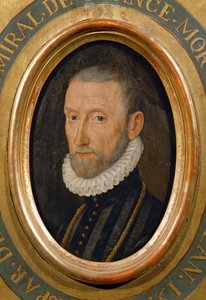 Gaspard de Coligny, amiral, homme d