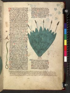 Egerton 747 Tractatus de herbis (Herbier) vers 1280-1310