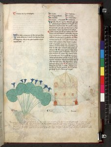 Egerton 747 Tractatus de herbis (Herbier) c.1280-1310