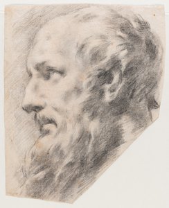 Tête de profil (Fusain sur papier)
