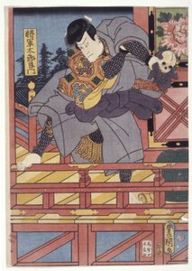 Shogun Taro Yoshikado - School Japanese