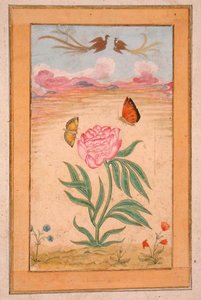 Plantes à fleurs avec oiseaux de paradis et papillons, du Petit Album Clive