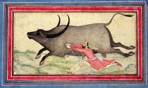 Buffle en fuite, Johnson Album XIV, no.11, verso, c.1700