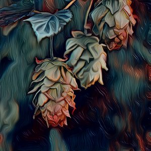 Houblon, 2021 - Scott J. Davis