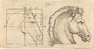 Deux têtes de cheval - Sebald Beham