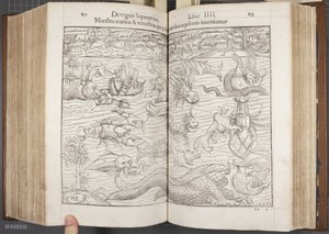 Cosmographia, Fol 852-853, 1544 - Sebastian Munster