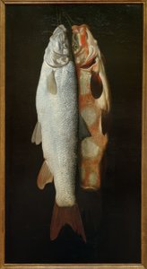Nature morte de poissons - Sebastian Stosskopf