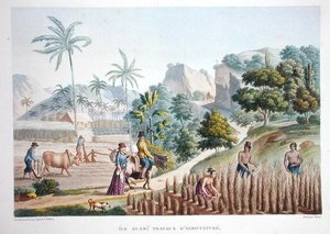 Travailleurs agricoles, Guam, Philippines, de 