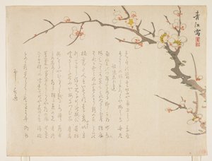 Prunier en fleurs, janvier 1837