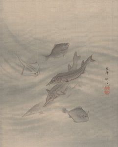 Poissons, vers 1890-92