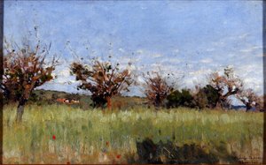 Champ de blé avec mûrier