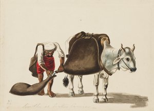 Porteur d